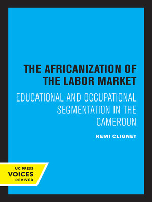 cover image of The Africanization of the Labor Market